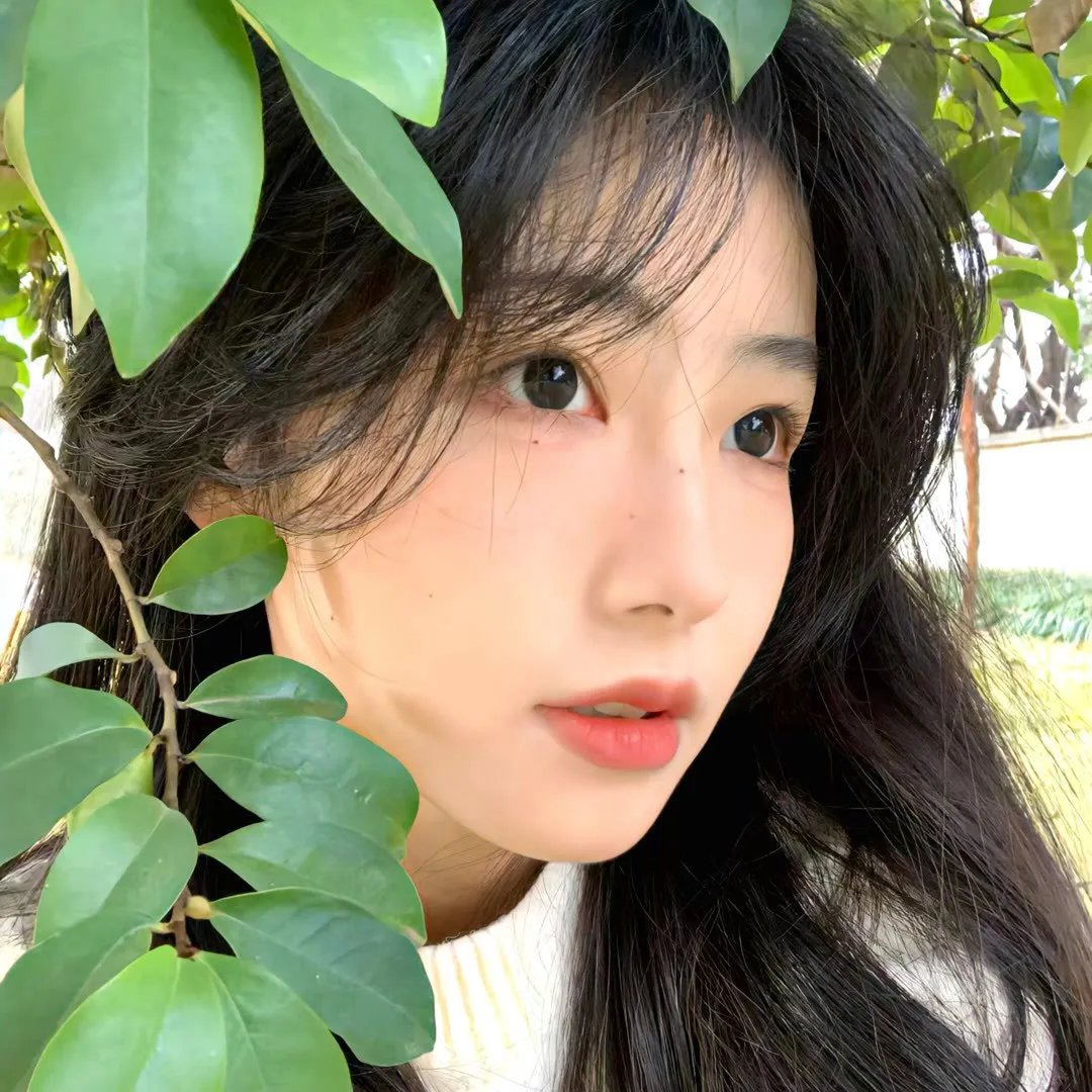 爱情开花的季节